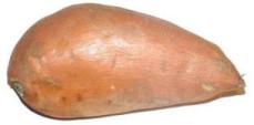 Sweet Potato